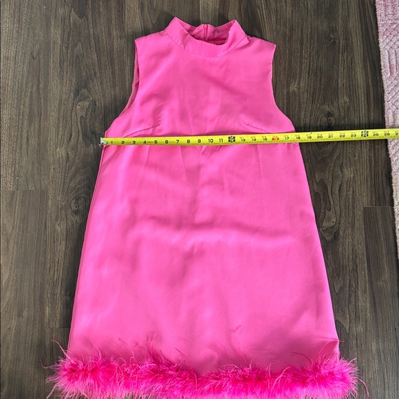Pink Sleeveless Dress with Feather Trim - Picture 3 of 4